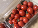 【水果菜】爆汁車(chē)厘小番茄1.25kg 曬單實(shí)拍圖