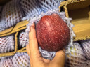 花牛 天水花牛蘋(píng)果 TIANSHUI HUANIU APPLE 當季現摘粉面紅蘋(píng)果 新鮮水果整箱 孕婦 寶寶輔食 團購送禮 蛇果 5斤裝（凈果4.5-5斤）優(yōu)選果 曬單實(shí)拍圖