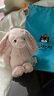 Jellycat花布邦尼兔動(dòng)物毛絨玩偶兔子玩偶兒童禮物娃娃生日七夕情人節(jié)禮物 徹蕊（胭脂粉色） Medium 曬單實(shí)拍圖