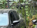 洛盾汽車(chē)貼膜全車(chē)膜汽車(chē)玻璃膜全車(chē)膜太陽(yáng)膜前擋風(fēng)玻璃隔熱膜車(chē)窗膜防曬防爆膜D鉑金系列全車(chē)膜包施工 鉑金D系列全車(chē)膜 曬單實(shí)拍圖