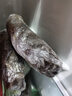 藕荷泥（OUHENI）正宗洪湖粉藕新鮮蓮藕湖北特產(chǎn)現(xiàn)挖九孔藕煲湯湖藕粉糯蓮藕蔬菜 洪湖粉藕5斤 曬單實(shí)拍圖