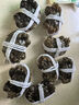 【活蟹】湖鮮陽(yáng)澄 大閘蟹 去繩足重 3.0-3.3兩 8只 鮮活六月黃現貨超大螃蟹生鮮禮盒裝 曬單實(shí)拍圖