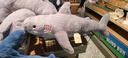 小熊（Bear）折疊燒水壺 便攜式燒水杯 旅行電熱水壺0.8L 出差家用迷你316L不銹鋼沖奶杯 ZDH-G08R3 曬單實(shí)拍圖