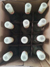 紅星二鍋頭 純糧兼香5 兼香型白酒 42度 500ml*12瓶 整箱裝 口糧酒 曬單實拍圖