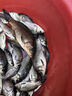 德國進(jìn)口魚(yú)線(xiàn)主線(xiàn)原絲尼龍線(xiàn)超柔軟強拉力路亞釣魚(yú)線(xiàn)海竿子線(xiàn) 變色隱形線(xiàn)-變色主線(xiàn)128米 2.0 曬單實(shí)拍圖