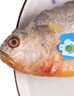 翔泰 海南金鯧魚(yú)凈重900g 2條裝  魚(yú)類(lèi)生鮮 燒烤 火鍋食材 海鮮水產(chǎn) 曬單實(shí)拍圖