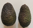 山姆大叔 金獎·哈斯牛油果云南孟連【閃送】當(dāng)季鱷梨非即食新鮮水果禮盒 【80%選擇】精品果丨約100-130g 10枚【全家分享-蕞劃算】普裝 曬單實(shí)拍圖