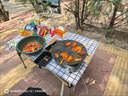 嘻由【全套配齊】戶(hù)外爐具露營(yíng)裝備用品分體卡式爐全套裝露營(yíng)野外炊具 灰色分體爐+三件套+收納包+4氣 【穩壓版/卡式爐露營(yíng)套裝】 曬單實(shí)拍圖