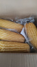 京鮮生東北黃糯玉米棒200g×8根 甜黏玉米 多種包裝隨機發(fā)貨 源頭直發(fā) 曬單實(shí)拍圖
