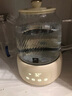 World Kitchen康寧全玻璃養生壺恒溫壺燒水壺熱水壺家用多功能辦公室煮茶器煮茶壺電熱水壺1.6L(基礎款） 曬單實(shí)拍圖