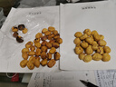 正宗遷西生鮮板栗3113燕山農家油栗河北唐山特產(chǎn)香甜糯現摘毛栗子 5斤 大果每斤45~55粒左右 曬單實(shí)拍圖