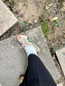Onitsuka Tiger鬼塚虎MEXICO 66?夏季復(fù)古奶茶色情侶鞋休閑鞋 米色 38 曬單實(shí)拍圖