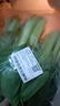 上海青約500g(油菜) 曬單實(shí)拍圖