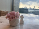 Byredo北國之春淡香精100ml（清冷木質(zhì)調(diào)香水 超級雪松 生日禮物） 曬單實拍圖