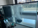 備能 日本黃粉魚藥爛尾爛肉魚用白點(diǎn)凈水霉病頭洞魚缸專用殺菌藥劑50g 曬單實(shí)拍圖