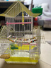 虎皮鸚鵡鳥籠玄鳳八哥畫眉文鳥全套雙層小中號別墅鐵豪華籠子 別墅鳥籠爬梯11件套-顏色隨機(jī)發(fā) 曬單實(shí)拍圖