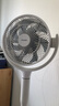 東芝（TOSHIBA）【風(fēng)待月】空氣循環(huán)扇電風(fēng)扇直流變頻落地扇負(fù)離子凈化電風(fēng)扇靜音臥室超靜音一級(jí)能效DSB700XCN(Y) 曬單實(shí)拍圖
