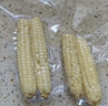 松果笑西雙版納香糯拇指玉米2.4斤裝 早餐玉米1號會(huì )員店源頭直發(fā) 曬單實(shí)拍圖