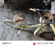 鳳凰（Phoenix）兒童自行車青少年單車6-8-10-12歲學(xué)生車公主車中大童復(fù)古腳踏車 麥田黃-高配碟剎款 20寸(適合135-155cm) 曬單實拍圖