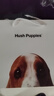 暇步士（Hush Puppies）鑰匙包男士外置卡位便攜鑰匙扣多功能收納包禮盒裝生日禮物 曬單實(shí)拍圖