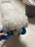 憨憨樂(lè )園狗狗玩具狗玩具磨牙棒寵物小狗幼犬用品耐咬自己玩解悶神器玩具 曬單實(shí)拍圖