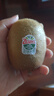 佳沛（zespri）綠奇異果10個(gè)裝 寶寶果單果約77-89g 水果獼猴桃包郵 曬單實(shí)拍圖