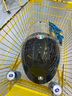 AGV K6S碳芳綸纖維大尾翼摩托車(chē)頭盔機車(chē)全盔賽車(chē)男女四季通風(fēng)3C BLACK（亮黑） XL（適合59-60頭圍） 曬單實(shí)拍圖