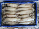 賣魚七郎全籽筆管魚2斤（含保護冰100g）魷魚海兔子籽烏滿籽帶籽軟足類 曬單實拍圖