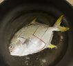 翔泰 海南金鯧魚(yú)凈重900g 2條裝  魚(yú)類(lèi)生鮮 火鍋食材 海鮮水產(chǎn) 中秋 曬單實(shí)拍圖