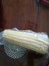 京鮮生東北白糯玉米250g*10棒 新鮮甜糯玉米棒真空包裝粘玉米 源頭直發(fā) 曬單實(shí)拍圖