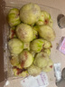 本安制藥日本醫(yī)用痘痘貼消炎吸膿隱形人工皮輕薄遮瑕祛痘淡化痘印貼108貼 曬單實拍圖