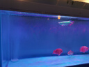 海甲衛(wèi)（HAKAWIN）魚缸氧氣泵超靜音氧氣泵魚缸小型家用增氧泵大氣量 AT-771 曬單實(shí)拍圖