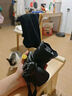 唯卓仕（VILTROX）AF 56mm F1.7 Z尼康口大光圈自動(dòng)對焦人像定焦鏡頭適用于Z30 Z50 ZFC Z50II微單相機  曬單實(shí)拍圖