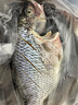 GUO LIAN國聯(lián)水產(chǎn) 三去羅非魚6條/4.2斤  海鮮魚類 源頭直發(fā) 冷凍海產(chǎn)海鮮 曬單實(shí)拍圖