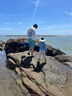漫生活趕海工具套裝沙灘挖沙鏟子鋤頭挖沙玩具夾螃蟹園藝種花種菜5件套 曬單實拍圖