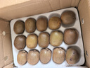 金百粟陜西眉縣徐香獼猴桃翠甜香新鮮水果禮盒整箱 綠心奇異果生鮮 徐香中果30枚（單果70-90g）甄選 曬單實拍圖