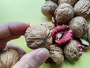 內廷上用云南紅衣紙皮核桃新貨原味老品質(zhì)正宗特級大血核桃仁休閑零食干果 紅衣核桃248gx1袋送夾子 京自東營(yíng)官方旗艦店胖東來(lái)線(xiàn)上超市 曬單實(shí)拍圖