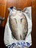 黃小漁三去海鱸魚(yú)2斤/2條 開(kāi)背鱸魚(yú) 生鮮 魚(yú)類(lèi) 海鮮水產(chǎn)燒烤食材 中秋 曬單實(shí)拍圖