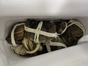 【活蟹】乾澄大閘蟹現貨 3.0-3.3兩 8只去繩足重鮮活六月黃螃蟹海鮮生鮮禮盒裝源頭直發(fā) 曬單實(shí)拍圖
