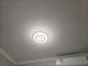 雷士（NVC）led燈盤(pán)吸頂替換燈芯燈泡燈板圓形磁吸燈條光源模組40瓦白光6500K 曬單實(shí)拍圖