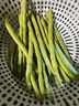 JCZS德國品牌紫光燈鑒定蔬菜檢藍礬藍光波爾多液熒光劑365nm紫外線(xiàn)檢 頂配款丨20W強光丨蔬菜全覆蓋檢 曬單實(shí)拍圖
