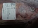 朵芙 海參斑魚 多規(guī)格 紅魚凈重 紅石斑魚大眼魚富貴魚深海魚生鮮魚類 【嘗鮮特大】2斤凈重*2條 曬單實拍圖