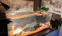 備能*日本黃粉魚藥+水族鹽+活性硝化細(xì)菌魚缸用殺菌凈水養(yǎng)魚老三樣 曬單實(shí)拍圖
