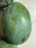 京鮮生 攀枝花凱特芒果 凈重8.5斤 帶箱9斤 單果400g+ 生鮮水果源頭直發(fā) 曬單實(shí)拍圖