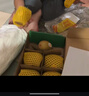 佳沛（zespri）新西蘭陽(yáng)光金果10個(gè)裝單果重約101-124g 中秋水果禮盒 獼猴桃 曬單實(shí)拍圖