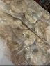 1號會(huì )員店白蝦仁0添加保水劑31-40只/磅無(wú)冰去蝦線(xiàn)凈重3斤（100-130只)  曬單實(shí)拍圖