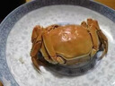 【活蟹】漁家師傅大閘蟹全母3.0-3.3兩8只去繩足重鮮活螃蟹現貨生鮮水產(chǎn)海鮮禮盒 曬單實(shí)拍圖