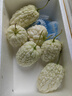 【超市品質(zhì)】蘋(píng)果苦瓜山東白玉苦瓜現摘農家自種新鮮蔬菜生鮮 蘋(píng)果苦瓜 2斤 凈重 曬單實(shí)拍圖