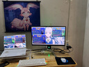 ANTGAMER螞蟻電競 24.5英寸2K300Hz顯示器 氧化物FastIPS 10Bit HDR400 1msGTG DIC技術(shù)護眼低藍光ANT253PQ 曬單實(shí)拍圖