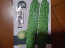 北蔬 苦瓜種子種苗油綠肉厚腔小蔬菜種籽 北蔬綠秀苦瓜種子20粒 曬單實(shí)拍圖